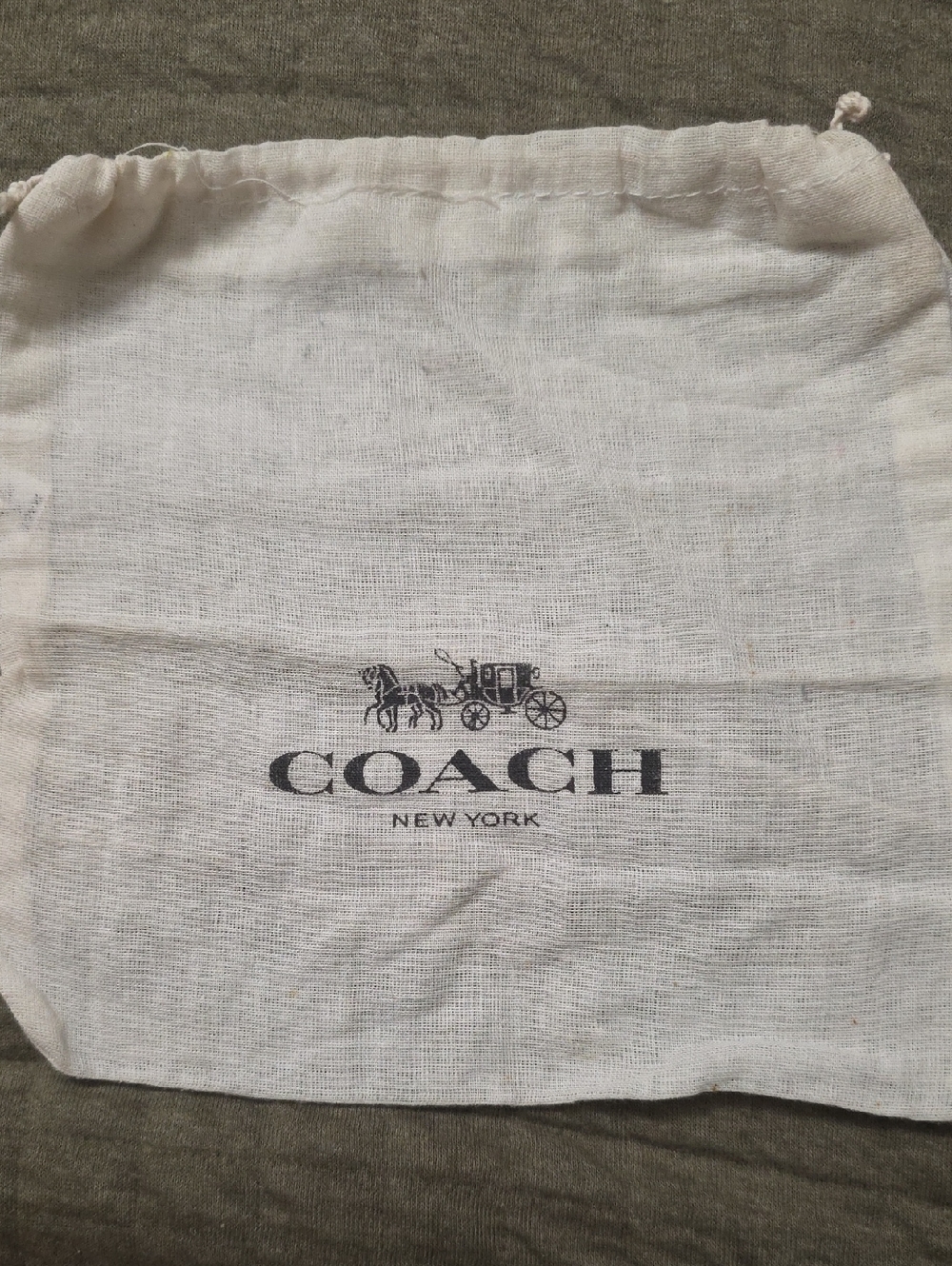 Coach Dust Bag NWOT